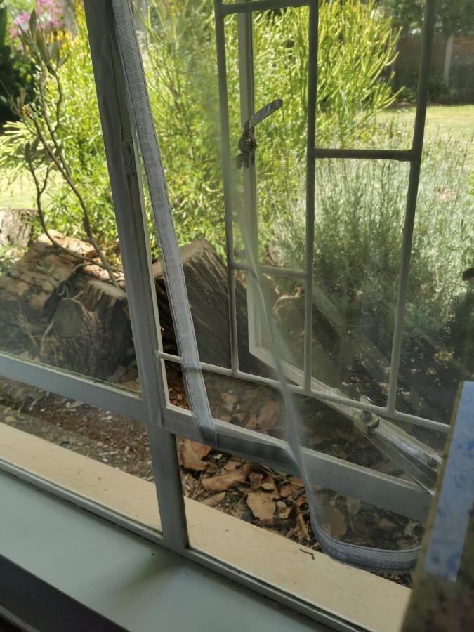 Stew S Room Polokwane Dış mekan fotoğraf